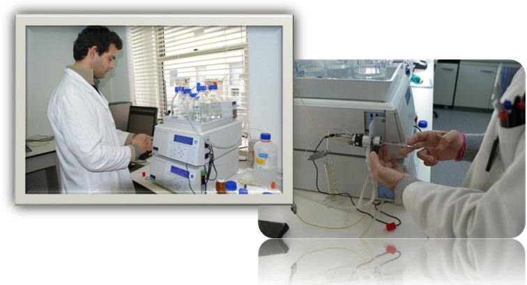 HPLC: UV/Vis detector
