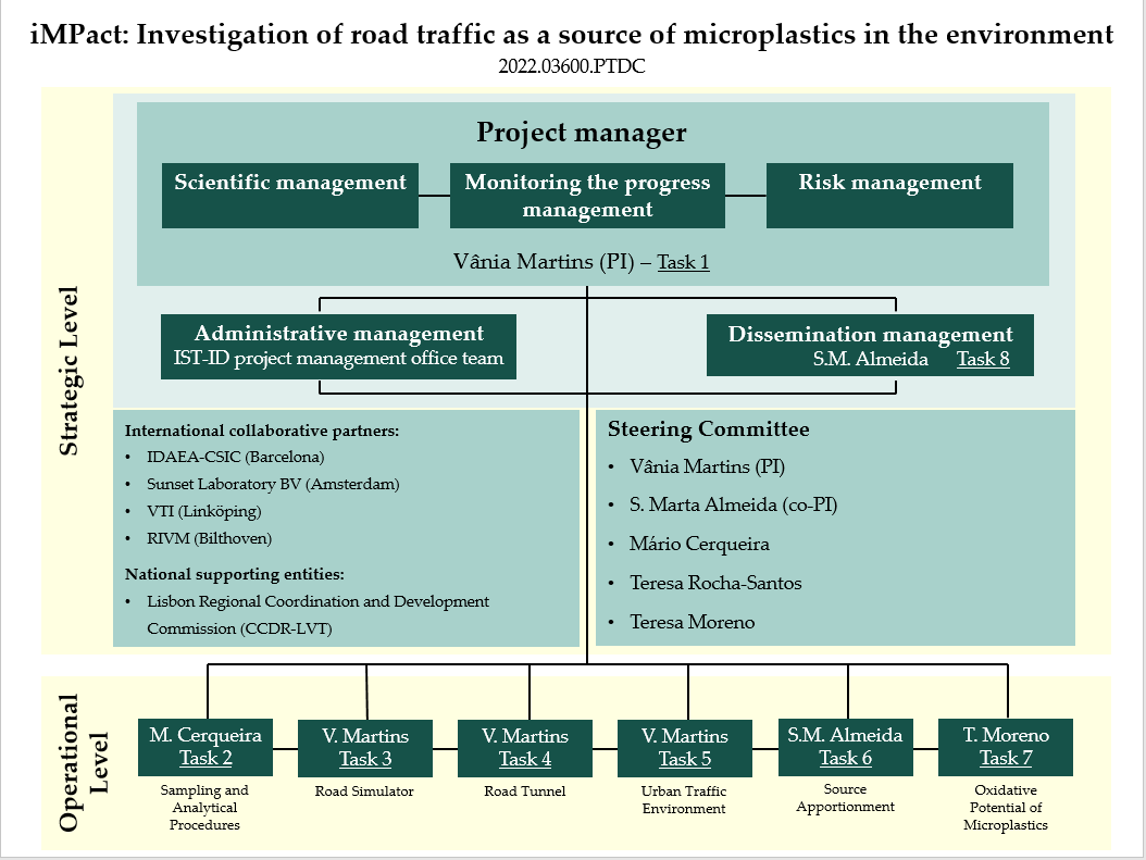 iMPact Management Structure